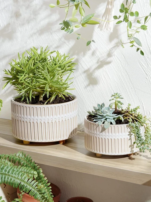Alt view image 4 of 7 - LE TAUCI Succulent Planters, 6.5+8 Inch Ceramic Indoor Plant Pot with Drainage Hole, Shallow Round Succulent Pots, Set of 2, Reactive Glaze White
