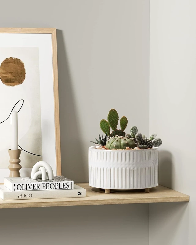 Alt view image 5 of 7 - LE TAUCI Succulent Planters, 6.5+8 Inch Ceramic Indoor Plant Pot with Drainage Hole, Shallow Round Succulent Pots, Set of 2, Reactive Glaze White