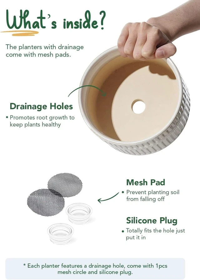 Alt view image 6 of 7 - LE TAUCI Succulent Planters, 6.5+8 Inch Ceramic Indoor Plant Pot with Drainage Hole, Shallow Round Succulent Pots, Set of 2, Reactive Glaze White