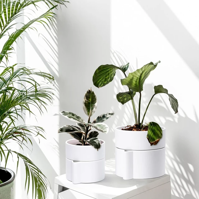 Alt view image 7 of 7 - Phoenix Vine 8 Inch Self-Watering Planter Pot with Terracotta Insert, Deep Water Reservoir, and Ceramic-Alike BPA-Free Plastic Planter Pot for Plant, Modern Planter for Houseplants, White, 53-A-T-1