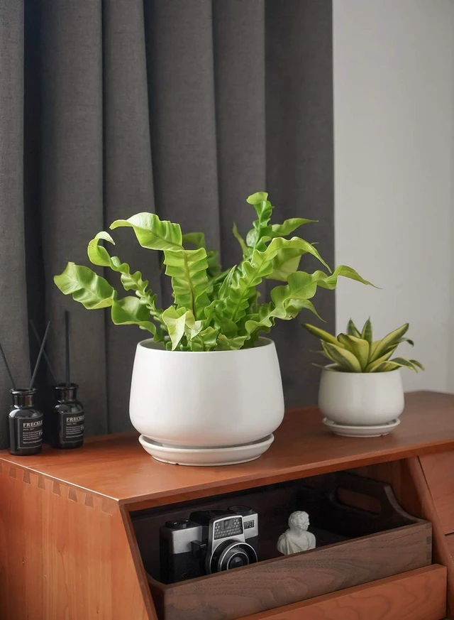 Alt view image 7 of 7 - LE TAUCI Ceramic Pots for Plant, 4.1+5.1+6.5 inch, Set of 3, White
