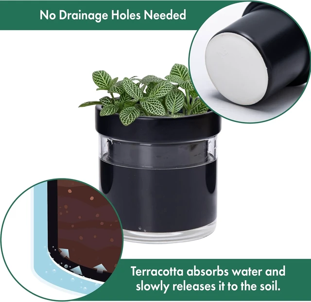 Alt view image 5 of 7 - Phoenix Vine 4 Inch Self Watering Terracotta Planter, Black Terracotta Clay Pot with Glass Reservoir for Indoor Plants, Herbs, Flowers, Set of 1, 52-C-E-1