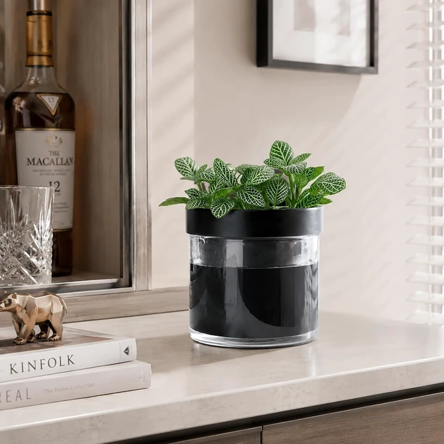 Alt view image 6 of 7 - Phoenix Vine 4 Inch Self Watering Terracotta Planter, Black Terracotta Clay Pot with Glass Reservoir for Indoor Plants, Herbs, Flowers, Set of 1, 52-C-E-1
