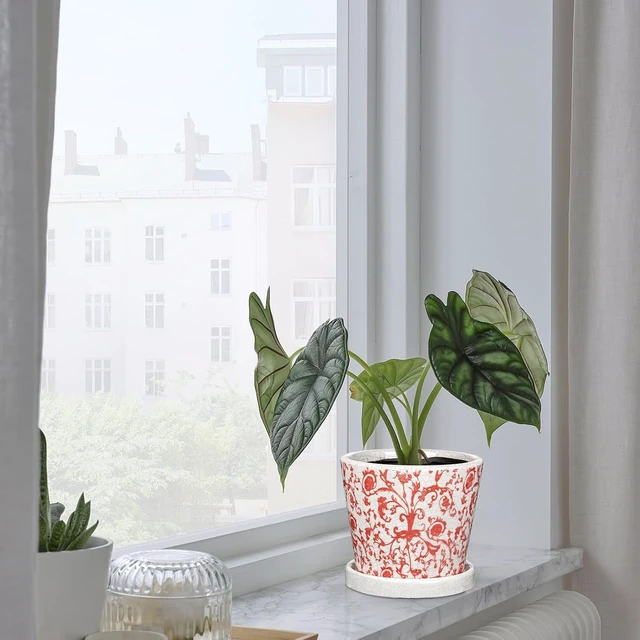 Alt view image 3 of 6 - Ceramic Plant Pots 5.5'' Indoor Planters with Drainage Holes, Set of 3