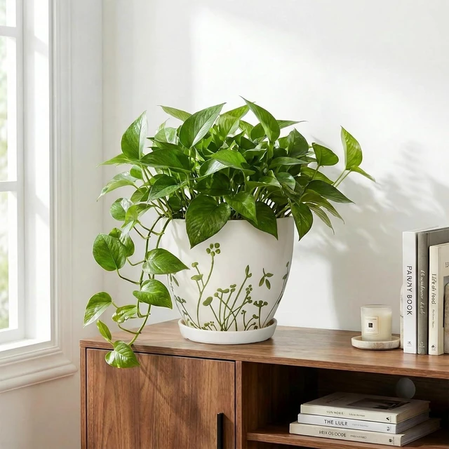 Alt view image 7 of 7 - Indoor Plant Pot 8.2 Inch - Ceramic Planter with Drainage Hole and Saucer, Boho Round Decorative Flower Pot for Indoor Outdoor Flowers, Plant Lover Gifts, Office Home Garden Patio Decor, White