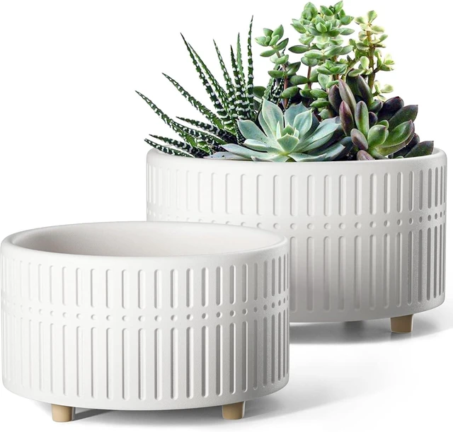 Main image of LE TAUCI Succulent Pots, 6.5+8 Inch Ceramic Indoor Plant Pot with Drainage Hole, Shallow Round Succulent Planters, Set of 2, Matte White