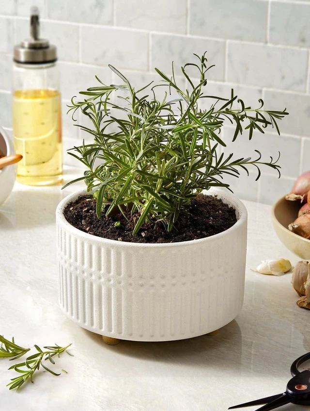 Alt view image 5 of 7 - LE TAUCI Succulent Pots, 6.5+8 Inch Ceramic Indoor Plant Pot with Drainage Hole, Shallow Round Succulent Planters, Set of 2, Matte White
