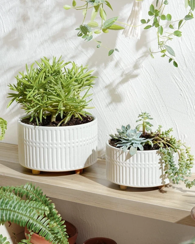 Alt view image 4 of 7 - LE TAUCI Succulent Pots, 6.5+8 Inch Ceramic Indoor Plant Pot with Drainage Hole, Shallow Round Succulent Planters, Set of 2, Matte White