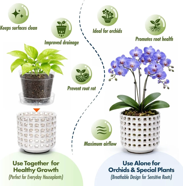 Alt view image 2 of 6 - D'vine Dev Orchid Pot, Clear Pot & Saucer, Smoked White, 6.7 in, 28-A-Y-1