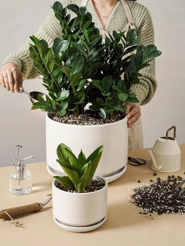 Alt view image 5 of 7 - LE TAUCI 12 Inch Pots for Plants, Ceramic Planter with Saucer, White