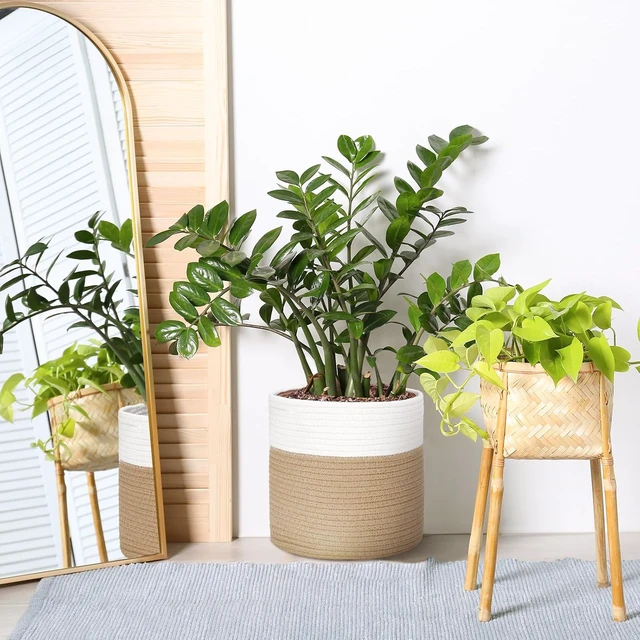 Alt view image 7 of 7 - Plant Baskets Indoor with Liner, White and Yellow, 10 Inch