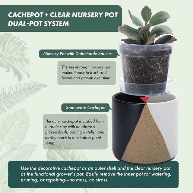 Alt view image 2 of 7 - D'vine Dev Cachepot, Clear Pot & Saucer, 4.5 in, Midnight Mesa, 93-O-B-2