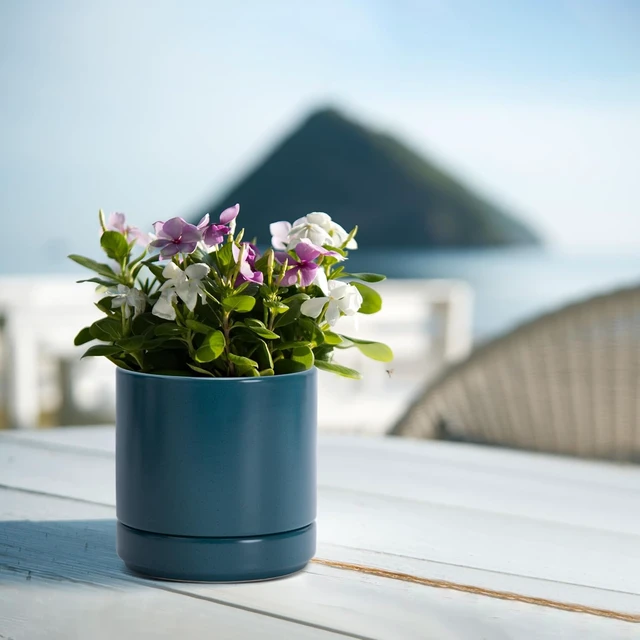 Alt view image 5 of 7 - D'vine Dev 4.7 Inch Ceramic Planter Pot, Teal, 94-O-B-9