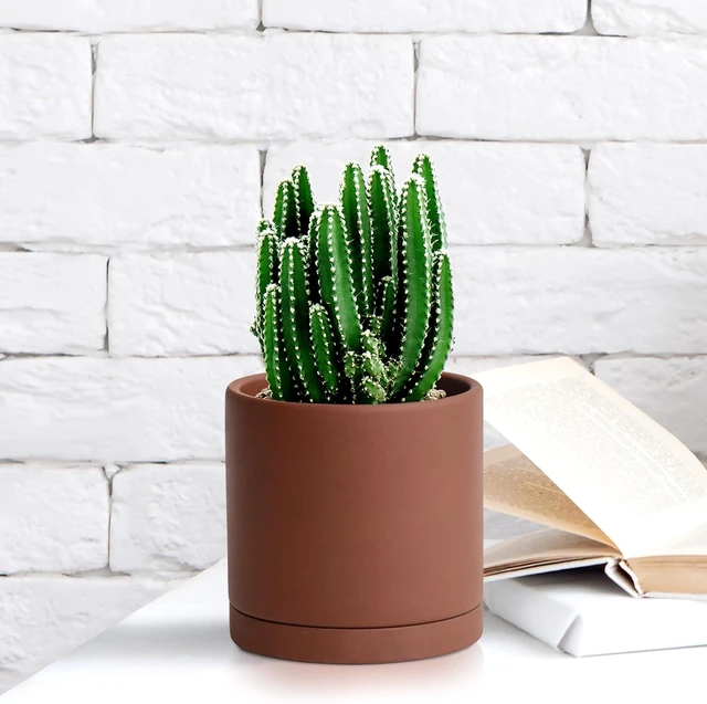 Alt view image 5 of 7 - D'vine Dev 4 Inch Rust Terracotta Plant Pot with Drainage Hole and Saucer, Round Cylinder Planter Pot for Indoor Plants, 40-V-A-3