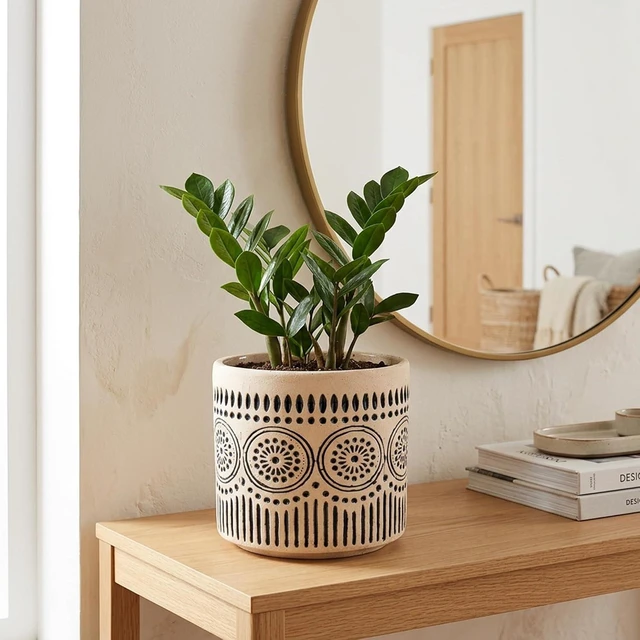 Alt view image 3 of 7 - Ceramic 5 Inch Succulent Plant Pot Small Flower Planter