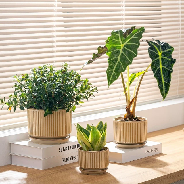 Alt view image 2 of 7 - Ceramic Plant Pots Set of 3, 4.3+5.5+6.8 Inch Indoor Outdoor Planters with Drainage Hole and Saucer, Ceramic Flower Pots for Indoor Plants, Home, Garden, Patio and Office, Glossy Beige