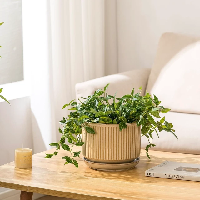 Alt view image 5 of 7 - Ceramic Plant Pots Set of 3, 4.3+5.5+6.8 Inch Indoor Outdoor Planters with Drainage Hole and Saucer, Ceramic Flower Pots for Indoor Plants, Home, Garden, Patio and Office, Glossy Beige