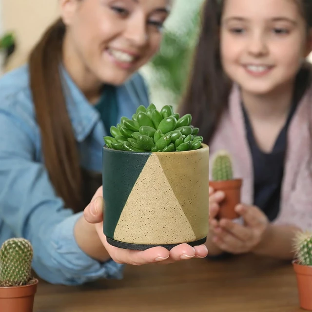 Alt view image 7 of 7 - D'vine Dev 2-Pack Cachepot with Clear Pot, 3.5 in, Desert Forest, 93-V-A-1