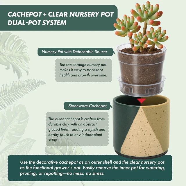 Alt view image 4 of 7 - D'vine Dev 2-Pack Cachepot with Clear Pot, 3.5 in, Desert Forest, 93-V-A-1