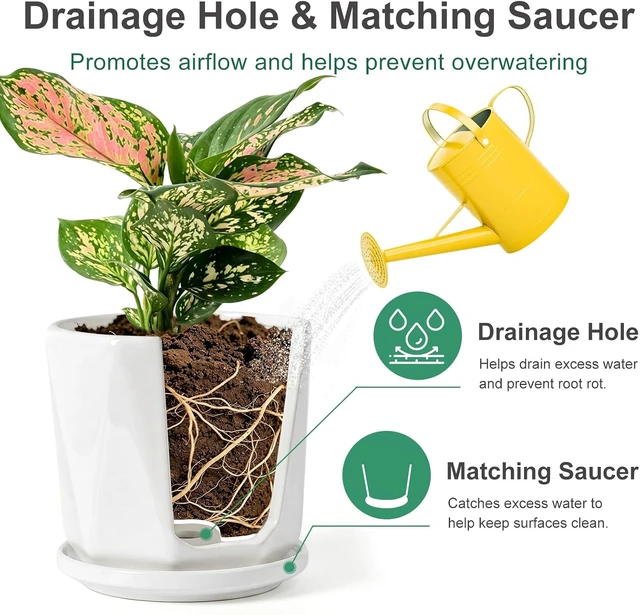 Alt view image 2 of 7 - White Ceramic Planter Set of 3 with Drainage and Saucer, Indoor Plant Pots