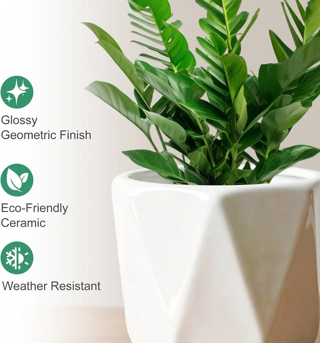 Alt view image 3 of 7 - White Ceramic Planter Set of 3 with Drainage and Saucer, Indoor Plant Pots
