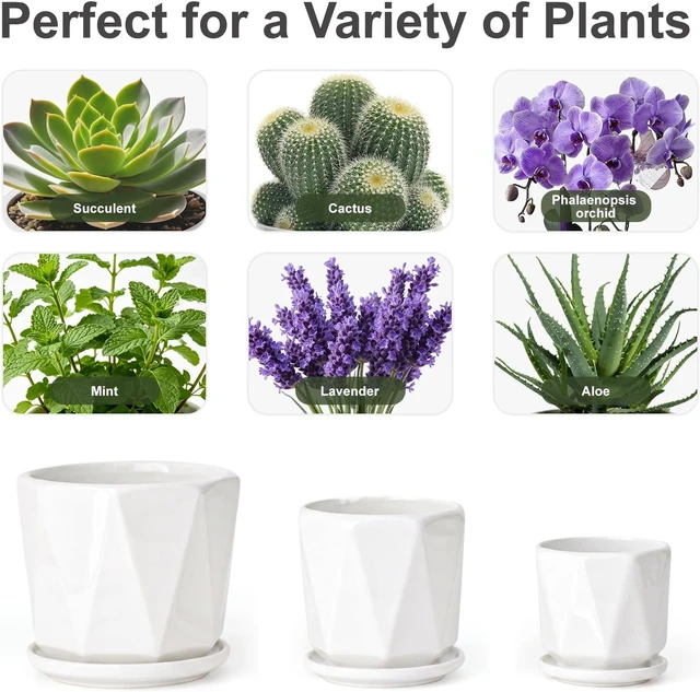 Alt view image 5 of 7 - White Ceramic Planter Set of 3 with Drainage and Saucer, Indoor Plant Pots