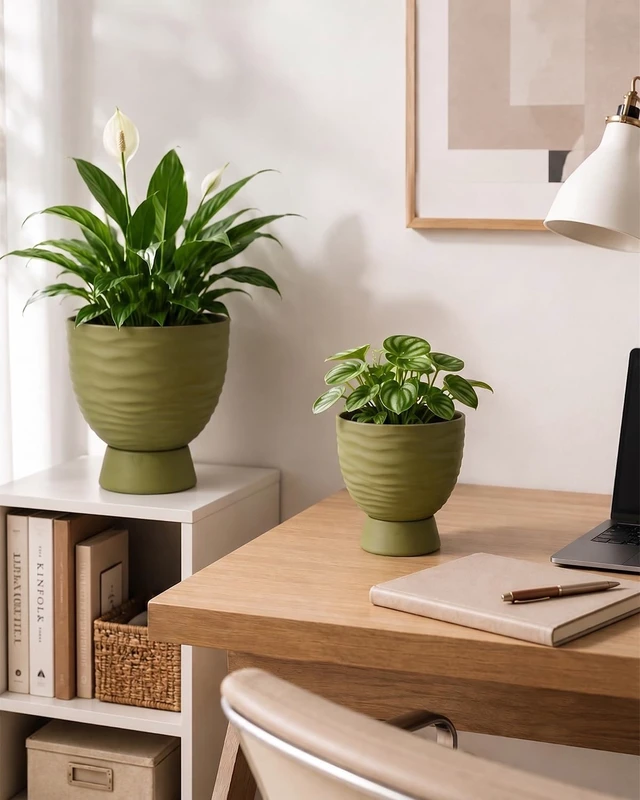 Alt view image 7 of 7 - Green Terracotta Self Watering Plant Pots, 6 and 8 Inch with Saucers