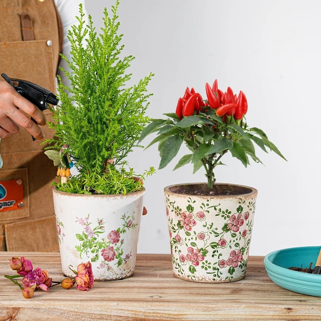 Alt view image 3 of 7 - Sungmor 5.5 Inch Ice Crackle Glaze Ceramic Planter - 2 Pack Pink & Red