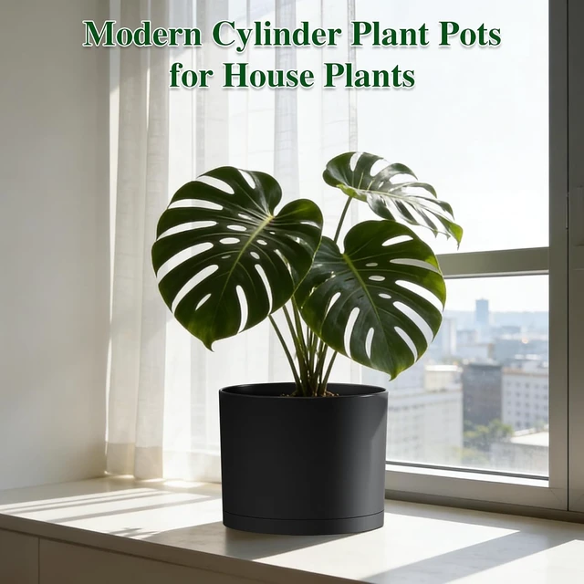Alt view image 5 of 7 - Plant Pots, 10/9/8 Inch 3 Pack Cylindrical Flower Pots with Drainage Holes and Saucers, Plastic Planters for Outdoor Indoor Plants,Black