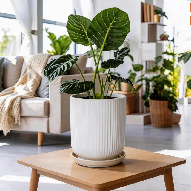 Alt view image 5 of 7 - Deep Dream 8 Inch Ceramic Pots for Plants, Heavy Plant Pot for Indoor Outdoor Plants, Large Plant Pot with Drainage Hole and Saucer, Modern Tall Flower Pot, Gifts for Plant Lovers, White