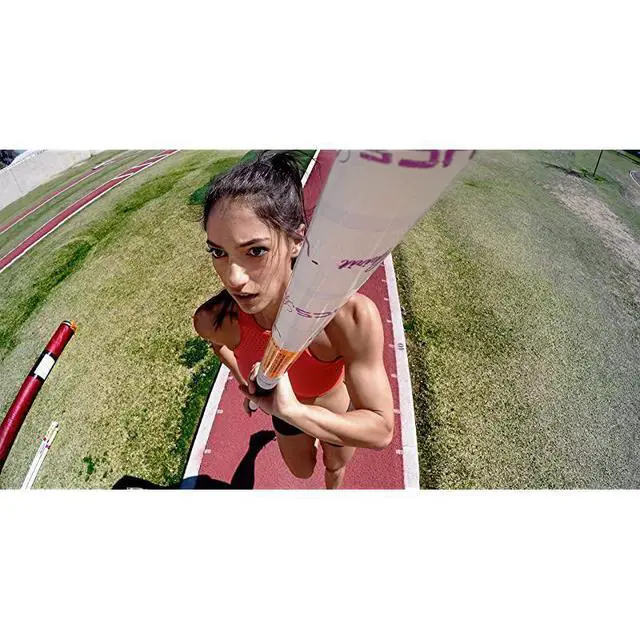 Alt view image 5 of 6 - Large Tube Mount Roll Bars + Pipes + More Official Mount