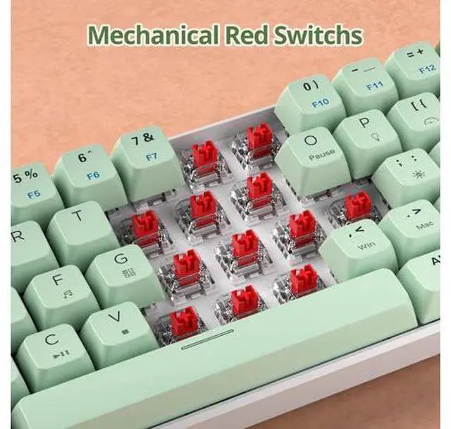 Alt view image 5 of 7 - 60 Percent Gaming Keyboard Green Matcha Keyboard 61 Keys Wired Mechanical Keyboard Red Switch RGB MDA Keycaps for Windows PC Laptop Gamers(61 Matcha)
