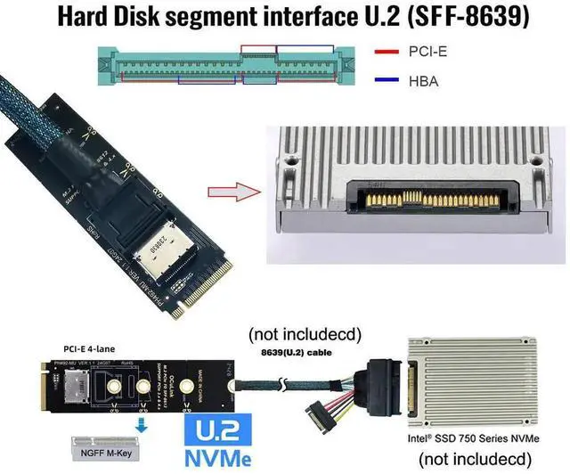 Alt view image 4 of 7 - 2280 PCI-E4.0 M.2 M-key to Oculink SFF-8612 SFF-8611 Vertical Host Adapter for NVME U.2 SSD eGPU
