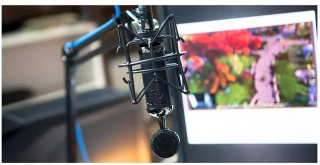 Alt view image 4 of 6 - Blue Blackout Spark SL XLR Condenser Microphone for Pro Recording, Streaming, Podcasting, Gaming, with Large Diaphragm Cardioid Mic Capsule, Shockmount, Detailed Natural Sound, Protective Case - Black