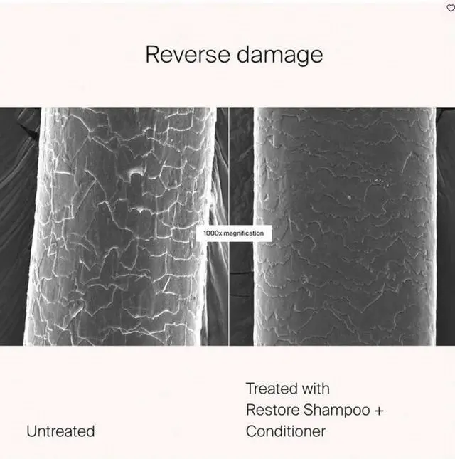 Alt view image 7 of 7 - Living Proof Restore Shampoo, 8.0 FL OZ