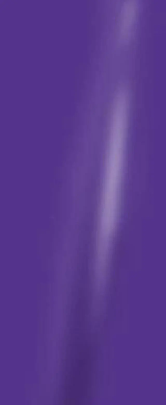 Alt view image 2 of 3 - LidStyles Vinyl Protection Skin Kit Decal Sticker Compatible with Wii Console PURPLE