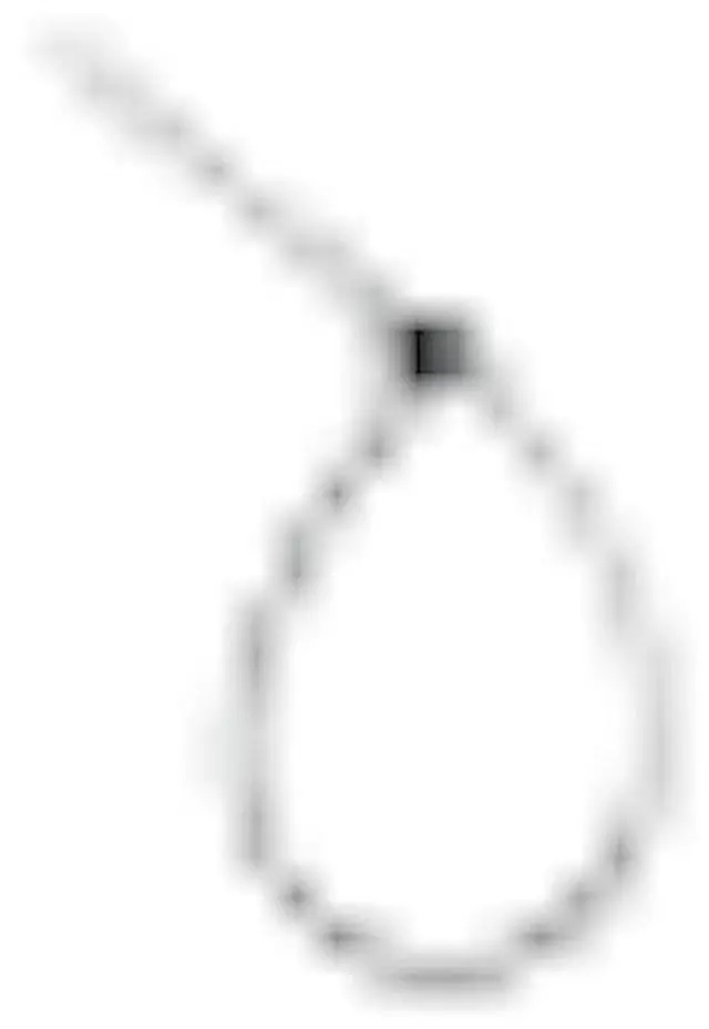 Main image of ZipTie.com 4-inch UV Resistant Black Fuel Hose Zip Tie, 18-lb Tensile Strength, 100-Pack