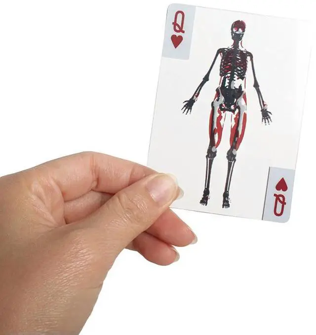 Alt view image 3 of 3 - 3D Image Educational Cards Reusable Body Transparent Playing Cards Multi-Purpose Human Anatomy Playing Cards for Kids Gifts