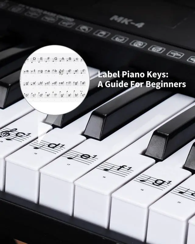 Alt view image 6 of 7 - 61 Keys Compact Keyboard Piano, Multi-Function Electronic Piano with 255 Sounds, 255 Rhythms, 24 Demos, Includes Sheet Music Stand, Note Stickers & Power Supply, Gift for Beginners, Black