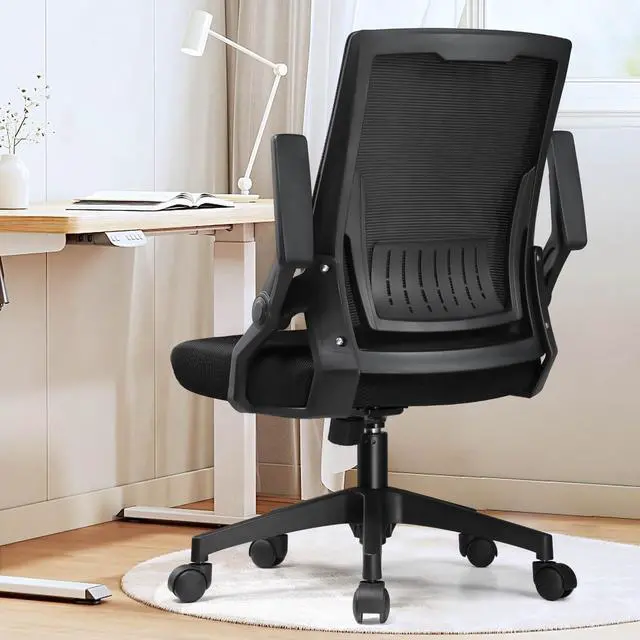 Main image of Ergonomic Office Chair with Flip-up Armrests Executive Computer Chair for Home Office, Breathable Mesh & Comfy Lumbar Support, Black