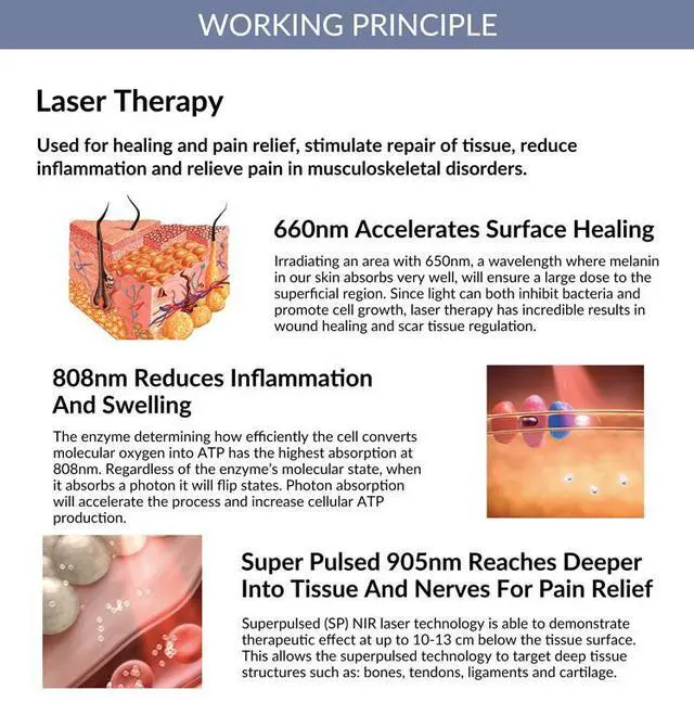 Alt view image 2 of 7 - ZJKC 45W Cold Laser Therapy Treatment LLLT Device For Muscle Joint Body Pain Relief