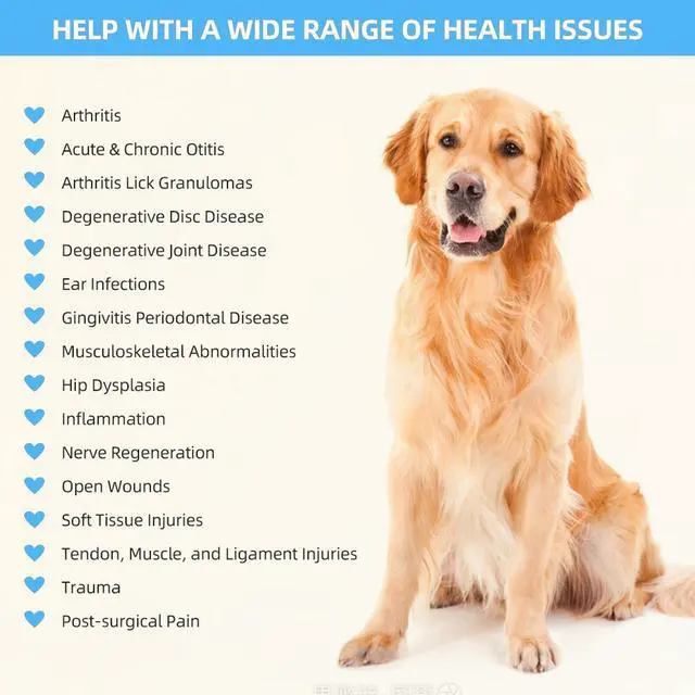 Alt view image 7 of 7 - ZJKC 880mW Red Light Therapy At Home for Pain Infrared Laser Treatment Low Level LLLT