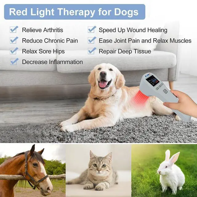 Alt view image 5 of 7 - ZJKC Red Infrared Light Therapy Device Cold Laser Machine for Muscle and Joint Pain