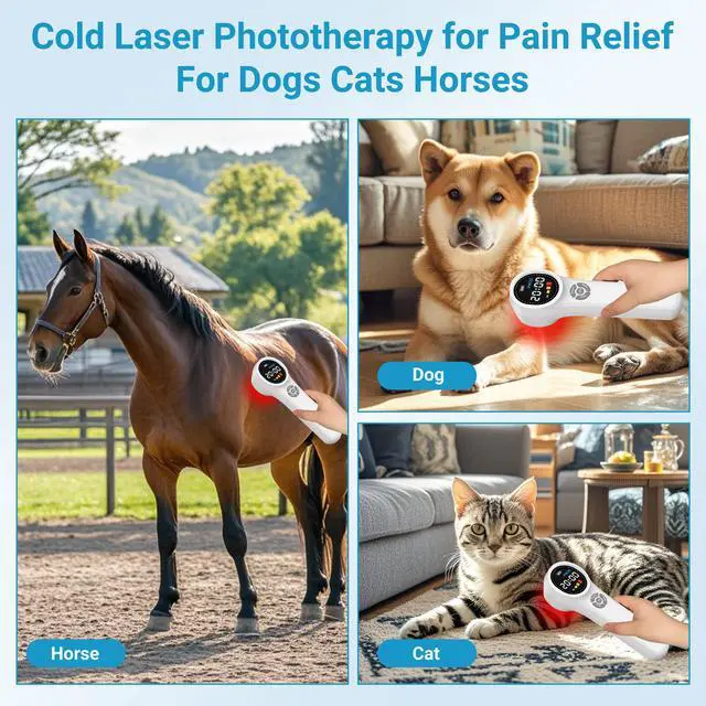 Alt view image 4 of 7 - ZJKC 1760mW Class 3b/4 Laser Therapy for Pain Relief Red Light Cold Laser Treatment