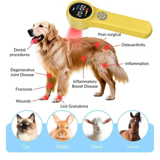 Alt view image 3 of 7 - ZJKC Class 4/3b Cold Laser Therapy Device for Pain Relief Wound Healing Handheld