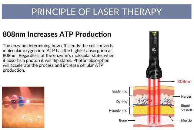 Alt view image 2 of 7 - ZJKC 1500mW 808nm Rechargeable Laser Stimulation Of Acupuncture Points Pen for Pain