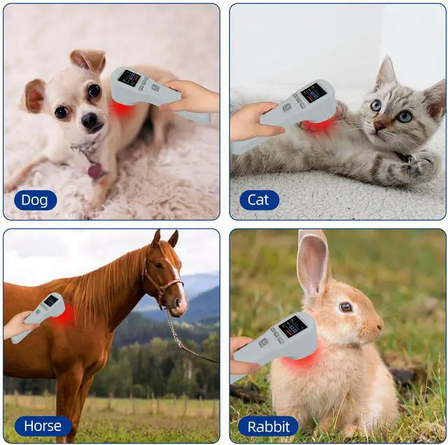 Alt view image 3 of 7 - ZJKC LLLT Cold Laser Therapy Device 4 * 808nm+16 * 650nm Human/Vet for Pain Relief