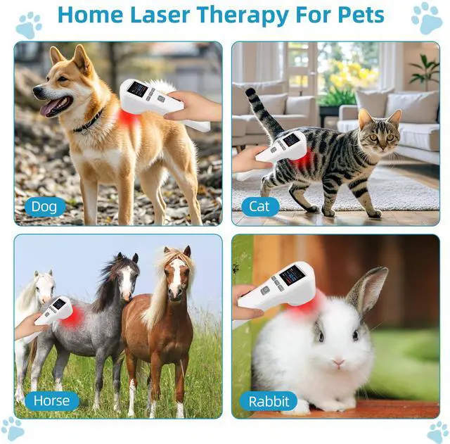 Alt view image 3 of 7 - ZJKC 880mW Cold Laser Red Infrared Light Therapy for Back Shoulder Pain 650nm 808nm