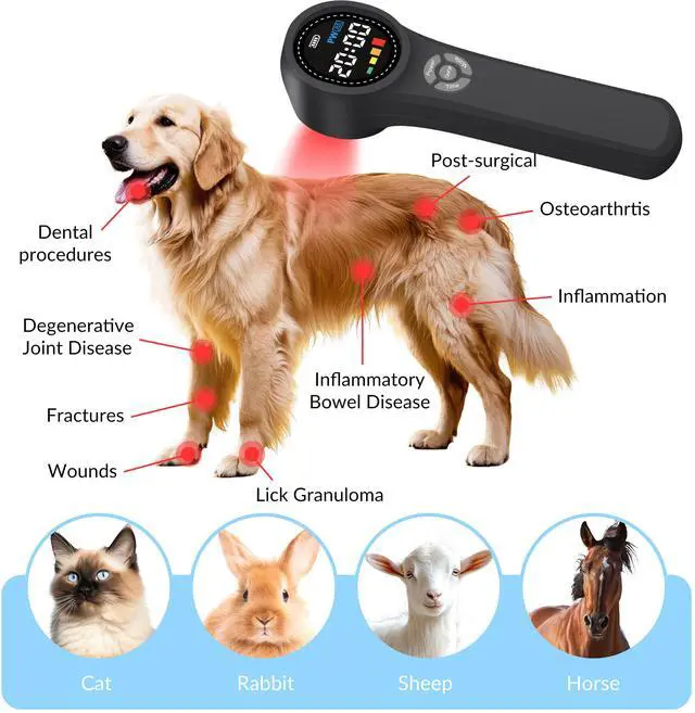 Alt view image 3 of 7 - ZJKC Effetive 1760Mw Cold Laser Therapy Laser Treatment For Back Pain Supplements To Reduce Joint Inflammation