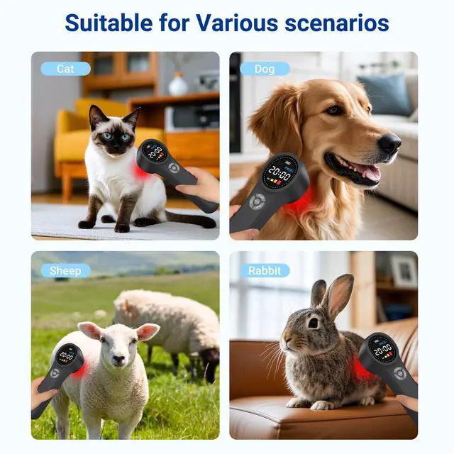 Alt view image 4 of 7 - ZJKC Effetive 1760Mw Cold Laser Therapy Laser Treatment For Back Pain Supplements To Reduce Joint Inflammation